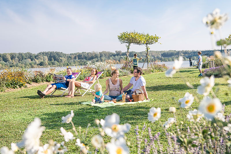 Familien auf der Picknickwiese an der Tullner Donaulände